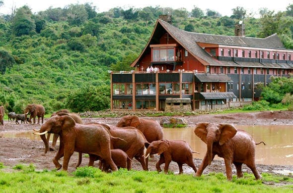 4-Day Safari: Nairobi – Aberdare – Ol Pejeta – Nairobi
