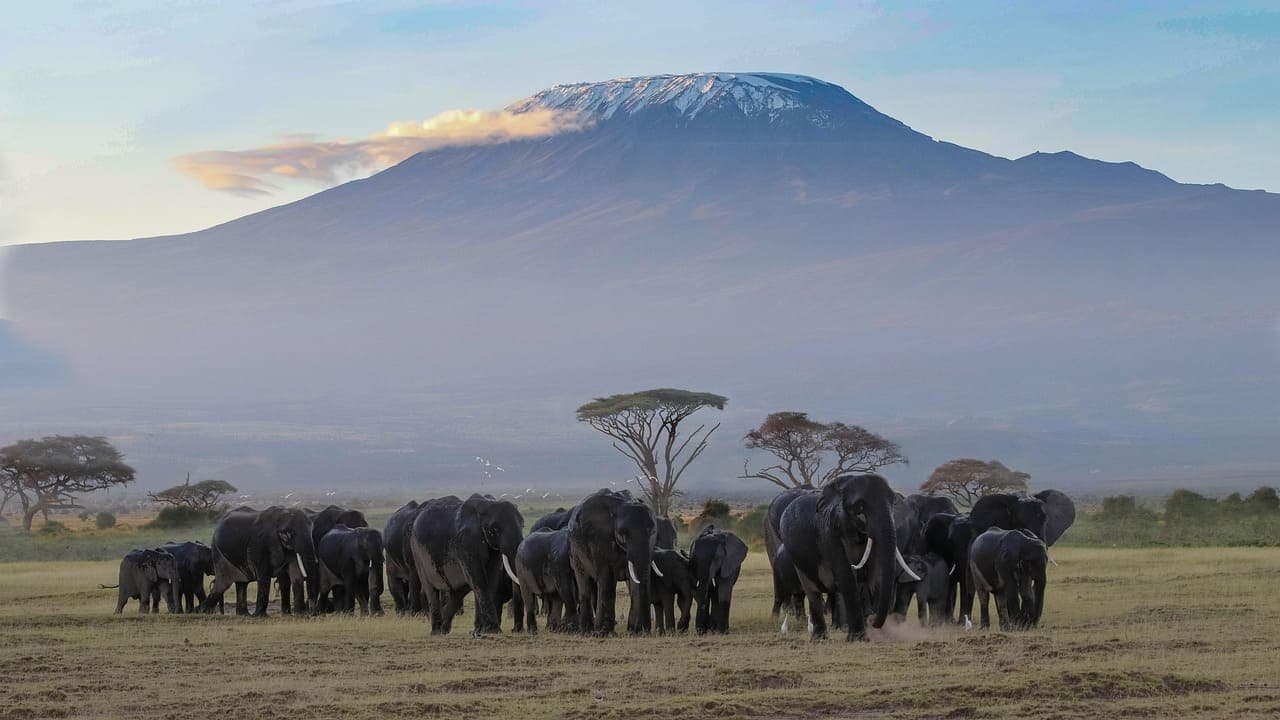 3-Day Kenya Safari Itinerary: Nairobi to Tsavo West, Amboseli, Tsavo East, and Mombasa Option