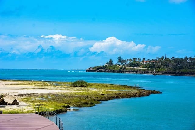 Mombasa Coastal Experience