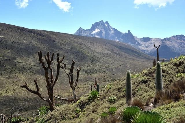 Mount Kenya Summit Safari